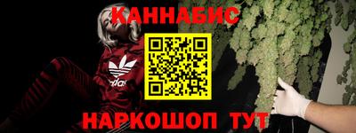 jwh Бийск