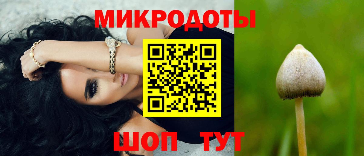 Псилоцибиновые грибы мицелий  Вход с VPN  Гай 